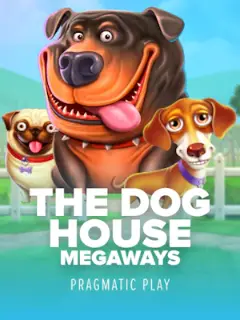 The Dog House Megaways by Pragmatic Play, video slot in the Stake lobby